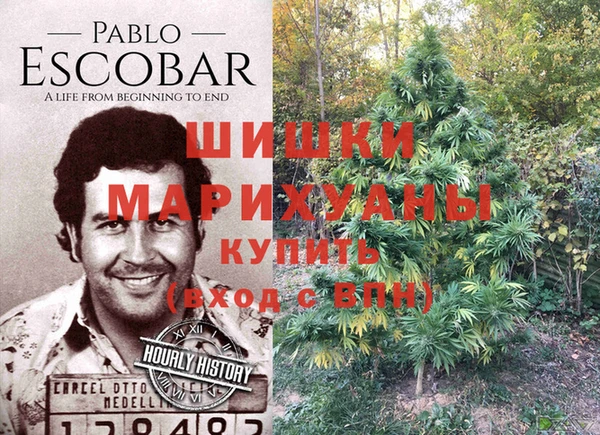 сатива Богородицк
