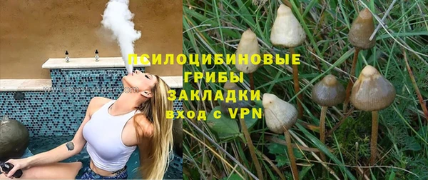 хмурый Богородск
