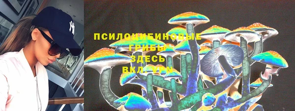 хмурый Богородск