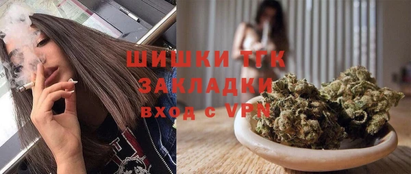 сатива Богородицк