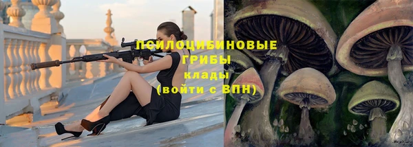 сатива Богородицк