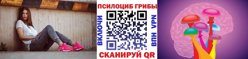 Галлюциногенные грибы мицелий  где найти наркотики  Вельск 
